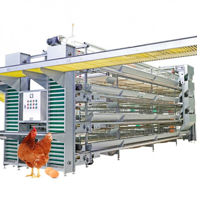 Farming System & Sustainable Agriculture - H Type Automatic Chicken Equipment System
