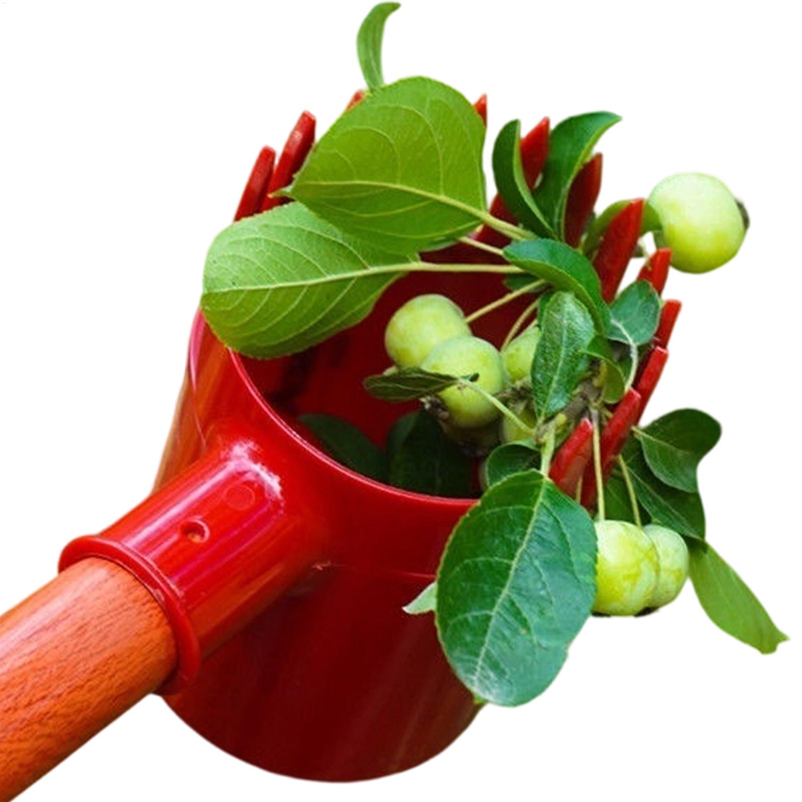 Agriculture Farming Tool - Berry Picker Scoop Portable Fruit Harvesting