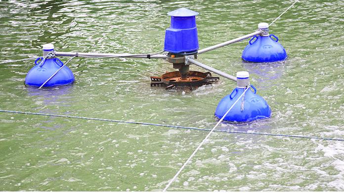 3HP Commercial Aquaculture Fis - đánh giá và giá Fish Pond Aerator
