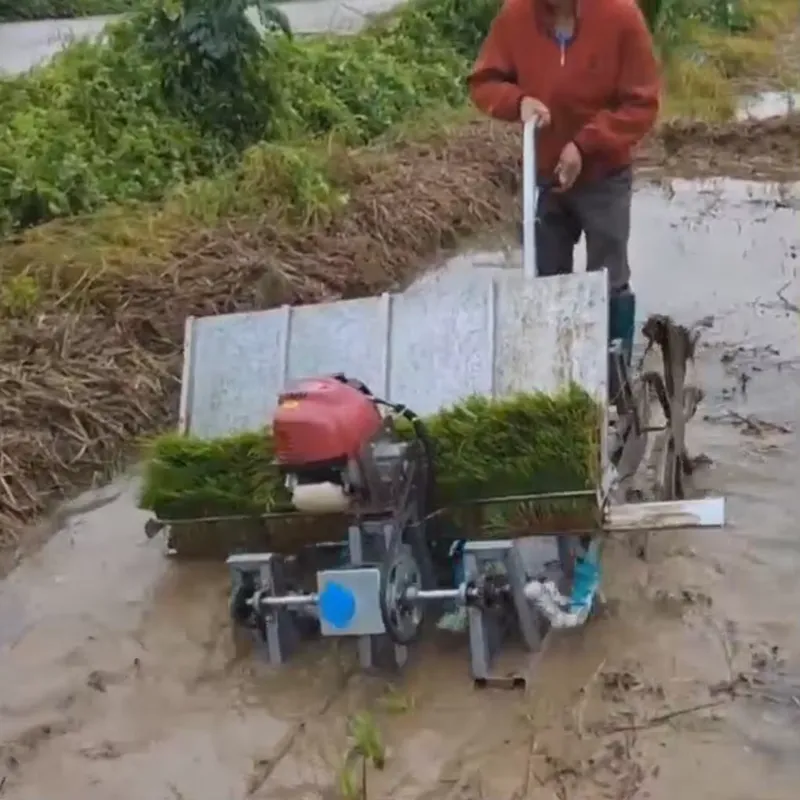 4-Row Manual Agricultural Equi - đánh giá và giá Agriculture Farming Rice