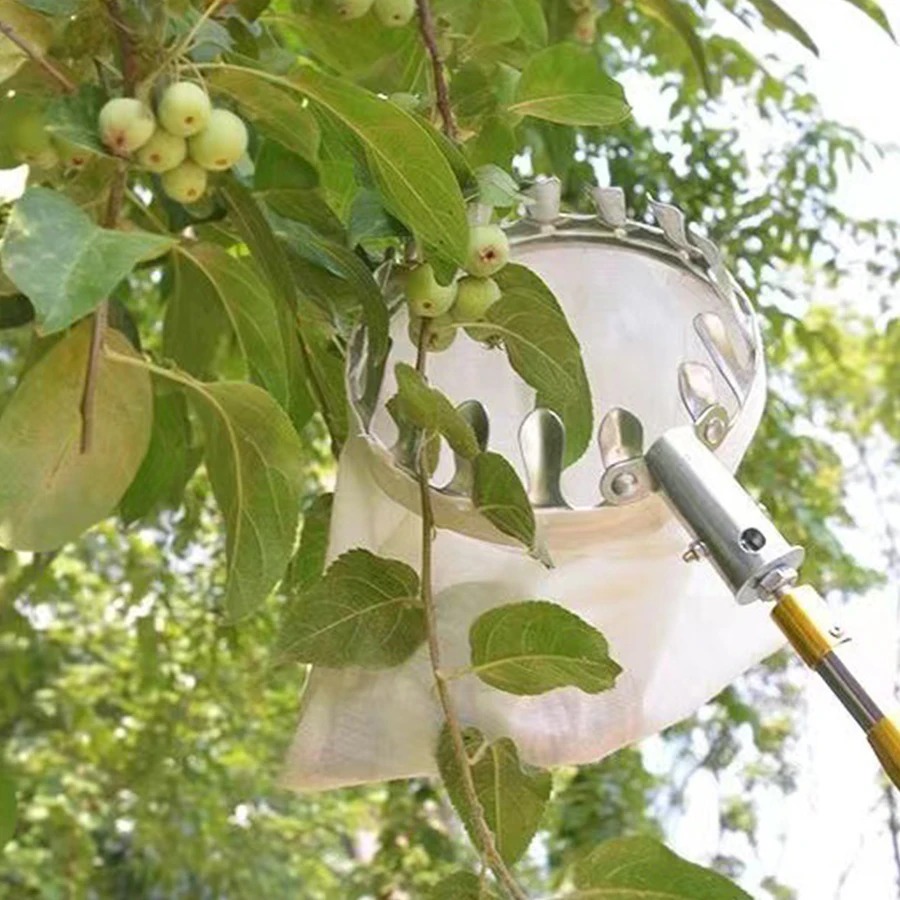 Professional Berry Picker Tool - đánh giá và giá Agriculture Farming Tool