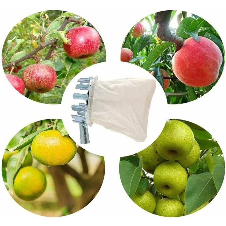Professional Berry Picker Tool - đánh giá và giá Agriculture Farming Tool