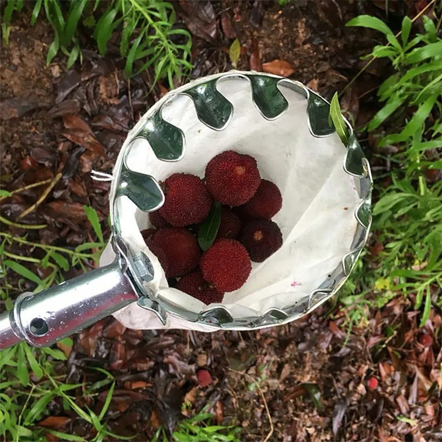 Professional Berry Picker Tool - đánh giá và giá Agriculture Farming Tool