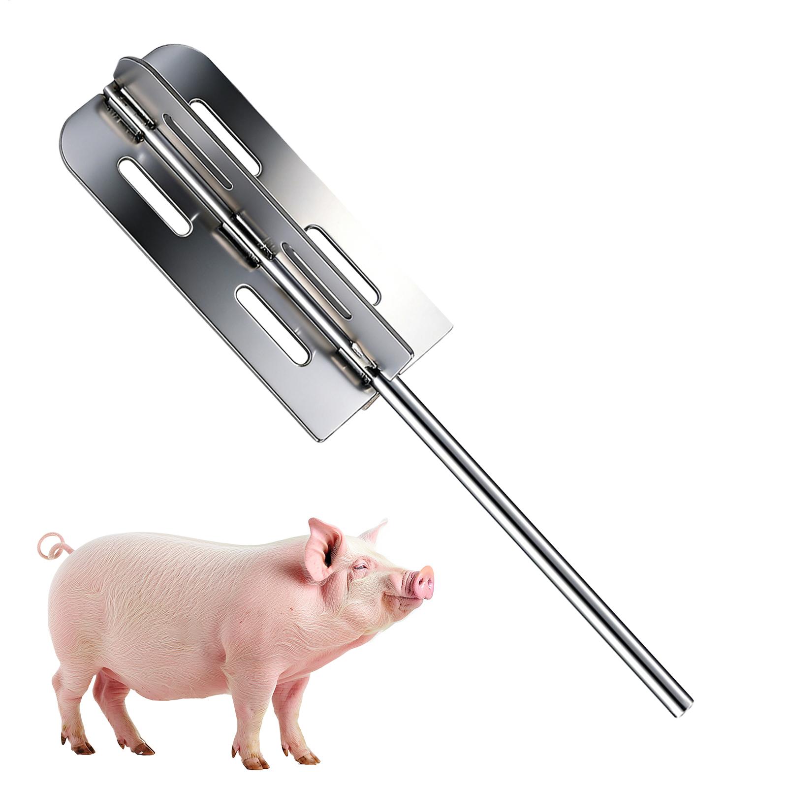 Hog Hair Removal Tool Stainles - đánh giá và giá Agriculture Farming Tool