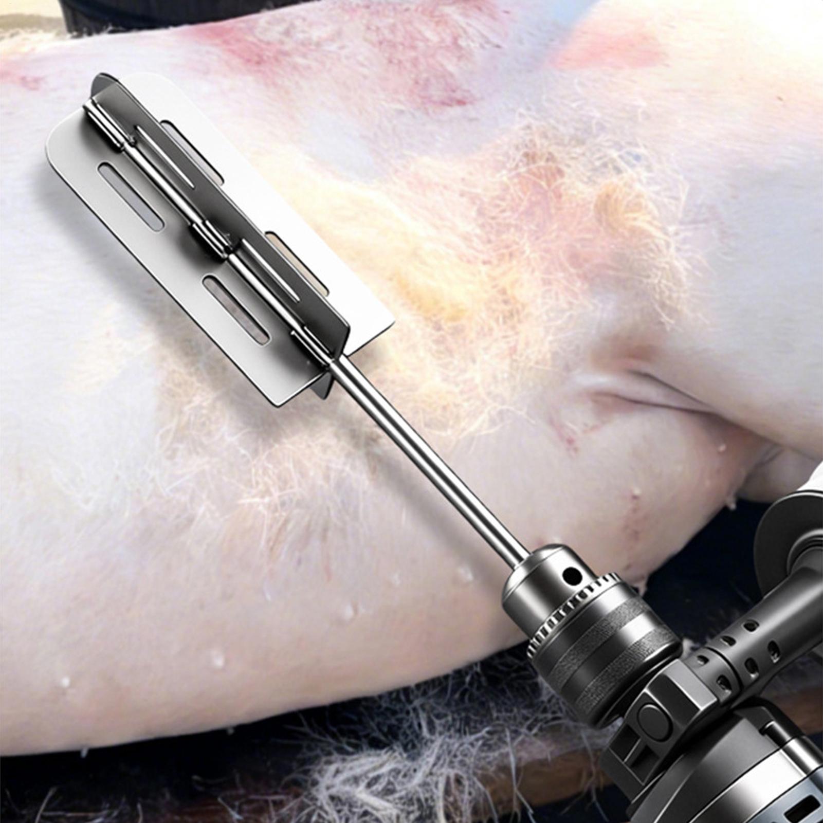Hog Hair Removal Tool Stainles - đánh giá và giá Agriculture Farming Tool
