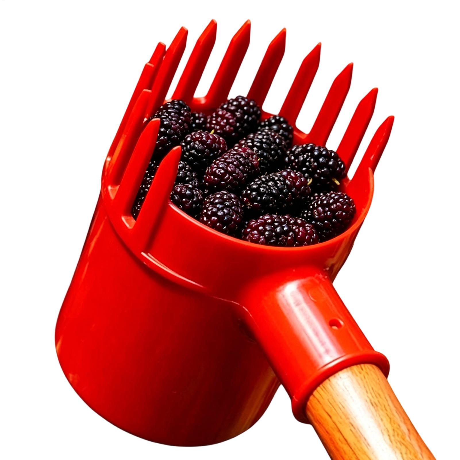 Berry Picker Scoop Portable Fr - đánh giá và giá Agriculture Farming Tool