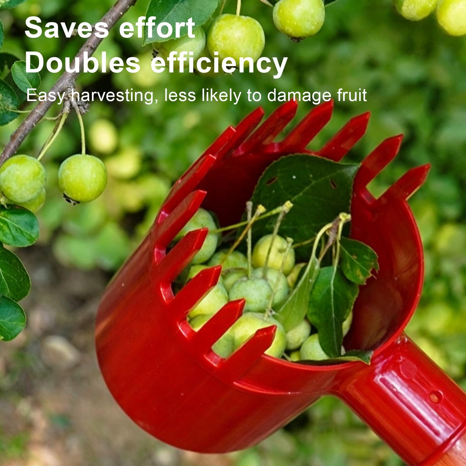 Berry Picker Scoop Portable Fr - đánh giá và giá Agriculture Farming Tool