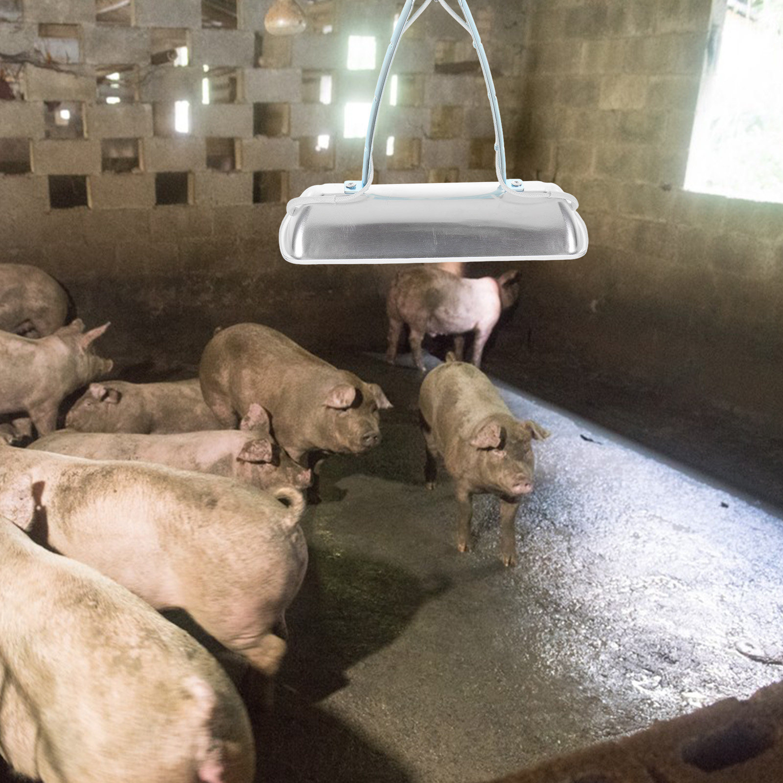 Pig Farm Preservation Lamp Chi - đánh giá và giá Farming & Agriculture Word Stacks