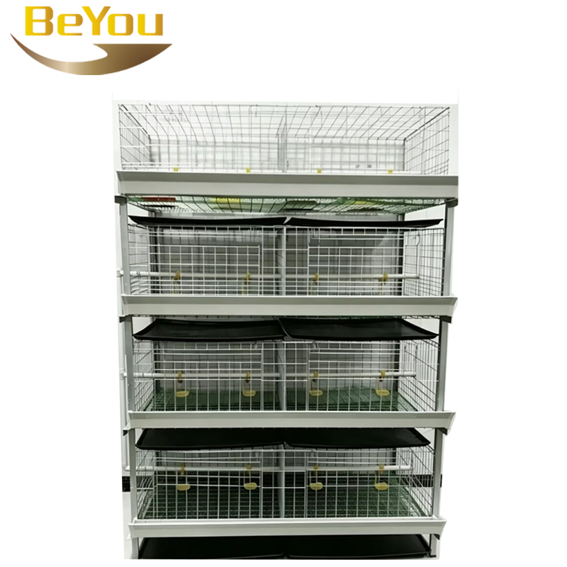 New H Type Broiler Chicken Cag - đánh giá và giá Farming System & Sustainable Agriculture